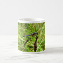 Blue Dragonfly mugs