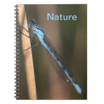 Blue Dragonfly Nature Notebook