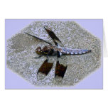 Blue Dragonfly Note Card