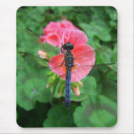 Blue dragonfly on pink flower green background mousepad