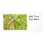 Blue Dragonfly Photo Personalized Photo Card