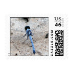 Blue Dragonfly Postage postage