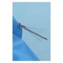 blue dragonfly stationery design
