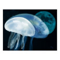 Blue Dream of a jelly fish posters