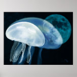 Blue Dream of a jelly fish Posters