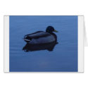Blue Duck cards