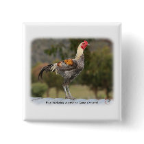 Blue Duckwing Australian Game Cockerel 9Y557D-006 buttons by TraffordPhotos Blue Duckwing Australian Game Cockerel 9Y557D-006 buttons