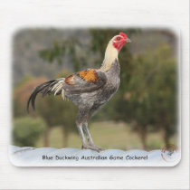 Blue Duckwing Australian Game Cockerel 9Y557D-006 mousepads