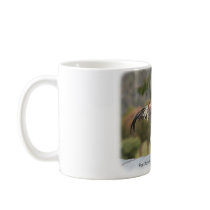 Blue Duckwing Australian Game Cockerel 9Y557D-006 mugs