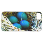 Blue Eggs in Nest Abstract Art Photo Phone Case casemate cases