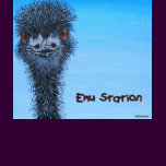 Blue Emu