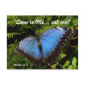 Blue exotic butterfly postcard