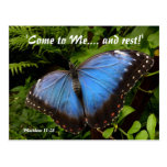 Blue exotic butterfly postcard