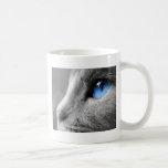 Blue eye of Siamese mugs