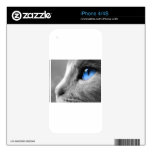 Blue eye of Siamese skins