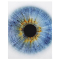Blue Eyeball Personalized Flyer