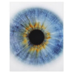 Blue Eyeball flyers