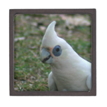 Blue Eyed Cockatoo Premium Keepsake Box