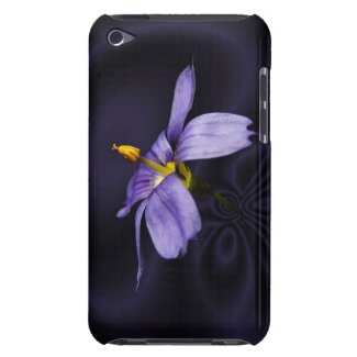 Blue Eyed Grass ~ iPod Casemate case iPod Touch Covers