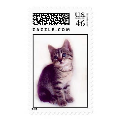 Blue Eyed Kitten Stamp by kittykelly