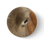 Blue Eyed Mini Filly Pin