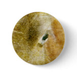 Blue Eyed Mini Filly With Grunge Texture Buttons