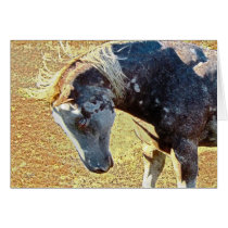 Blue eyed Paint Gifts cards