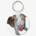 blue eyed pitbull keychain
