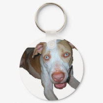 blue eyed pitbull keychain by rescueadog blue eyed pitbull keychain