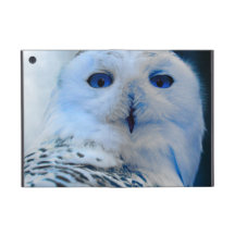 Blue Eyed Snow Owl iPad Mini Covers
