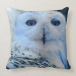 Blue Eyed Snow Owl Pillow