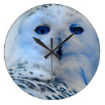 Blue Eyed Snow Owl Wall Clocks