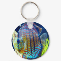Blue eyed wonder, just hanging out on this keychai keychains