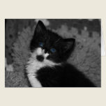 Blue Eyes cards