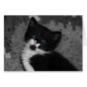 Blue Eyes cards by Jrcphoto Blue Eyes cards