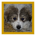 Blue Eyes_Gentle Eye Series posters by prattsartwork Blue Eyes_Gentle Eye Series posters