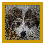 Blue Eyes_Gentle Eye Series