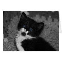 Blue Eyes Greeting Card