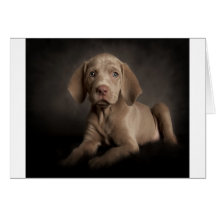 Blue eyes greeting cards