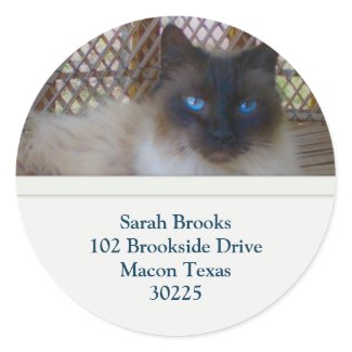 Blue Eyes Kitty Address Labels sticker