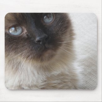Blue Eye's Kitty mousepad