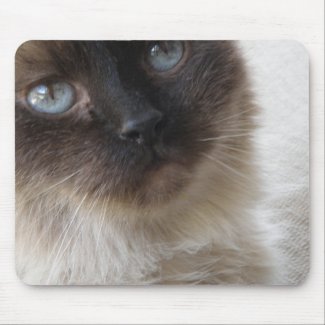 Blue Eye's Kitty mousepad