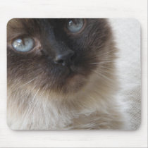 Blue Eye's Kitty mousepads