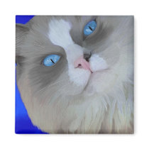 Blue Eyes magnets by Cazzies_Creations Blue Eyes magnets