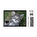 Blue Eyes postage