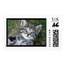 Blue Eyes Stamp