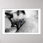 Blue Eyes Posters