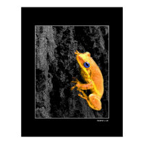 Blue Eyes posters by Littlewizardphotos Blue Eyes posters