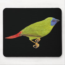 Blue-faced Parrot Finch - Erythrura trichroa mousepads by LisasLair Blue-faced Parrot Finch - Erythrura trichroa mousepads
