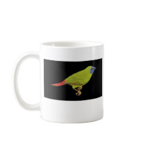 Blue-faced Parrot Finch - Erythrura trichroa Promo mugs